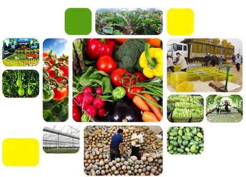 如何在淘宝上销售初级农产品及所需证件详解