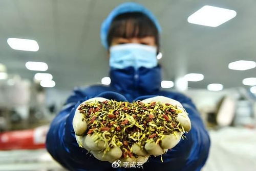 主动降速与百亿减免 拼多多在初级农产品赛道中被忽视的战略深意