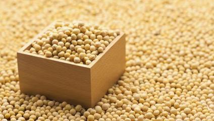 初级农产品商标注册类别选择指南——响应大豆振兴计划