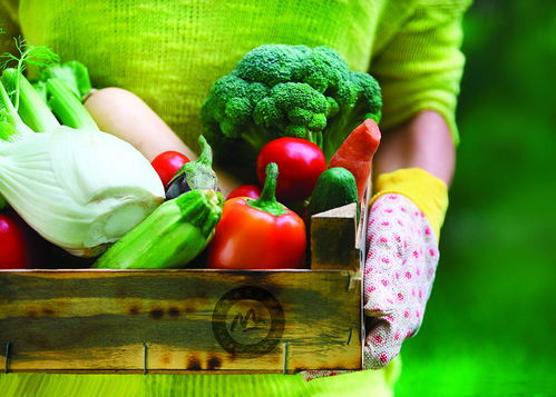 从“土产”到“品牌”——临沂初级农产品的生态转型与品牌崛起之路