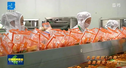 西秀区净菜加工 助推初级农产品提质增效的新路径