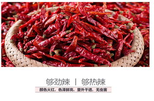 辣味巅峰 汇尔康印度魔鬼辣椒，挑战你的味蕾极限